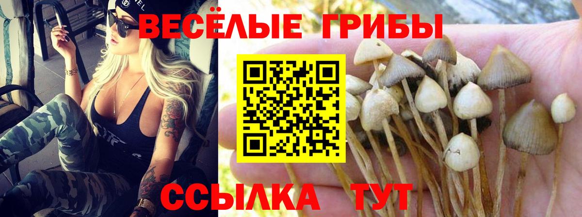 Псилоцибиновые грибы ЛСД  дарнет шоп  Губкинский  Вход с VPN 